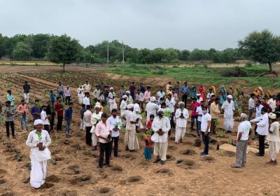 Mission Green Dhanera-2019