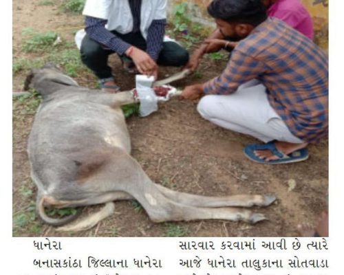 Satyanam Express News- Animal rescue by Edufun Foundation.jpg